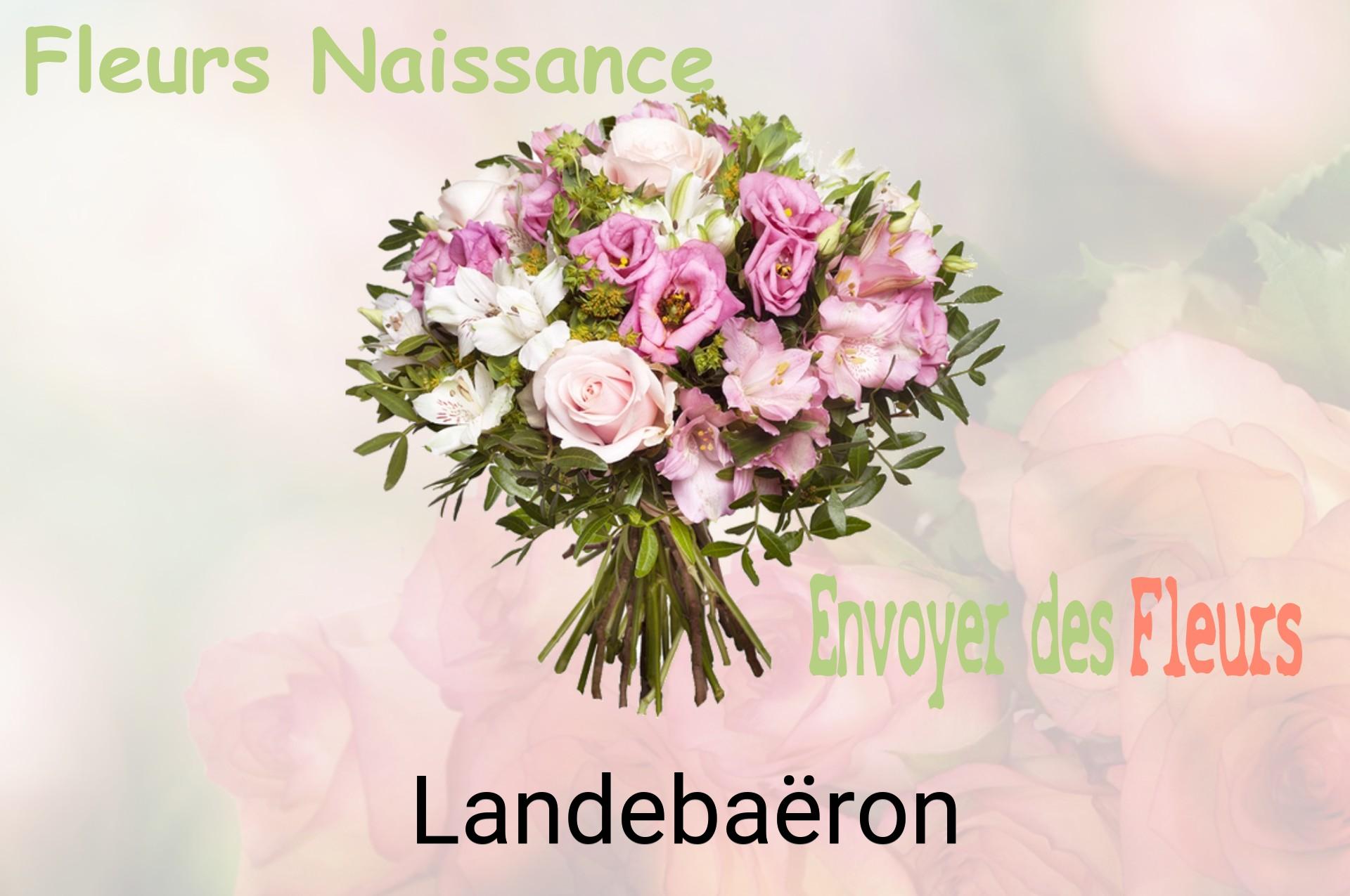 Bouquet de fleurs de naissance livré à Landebaëron